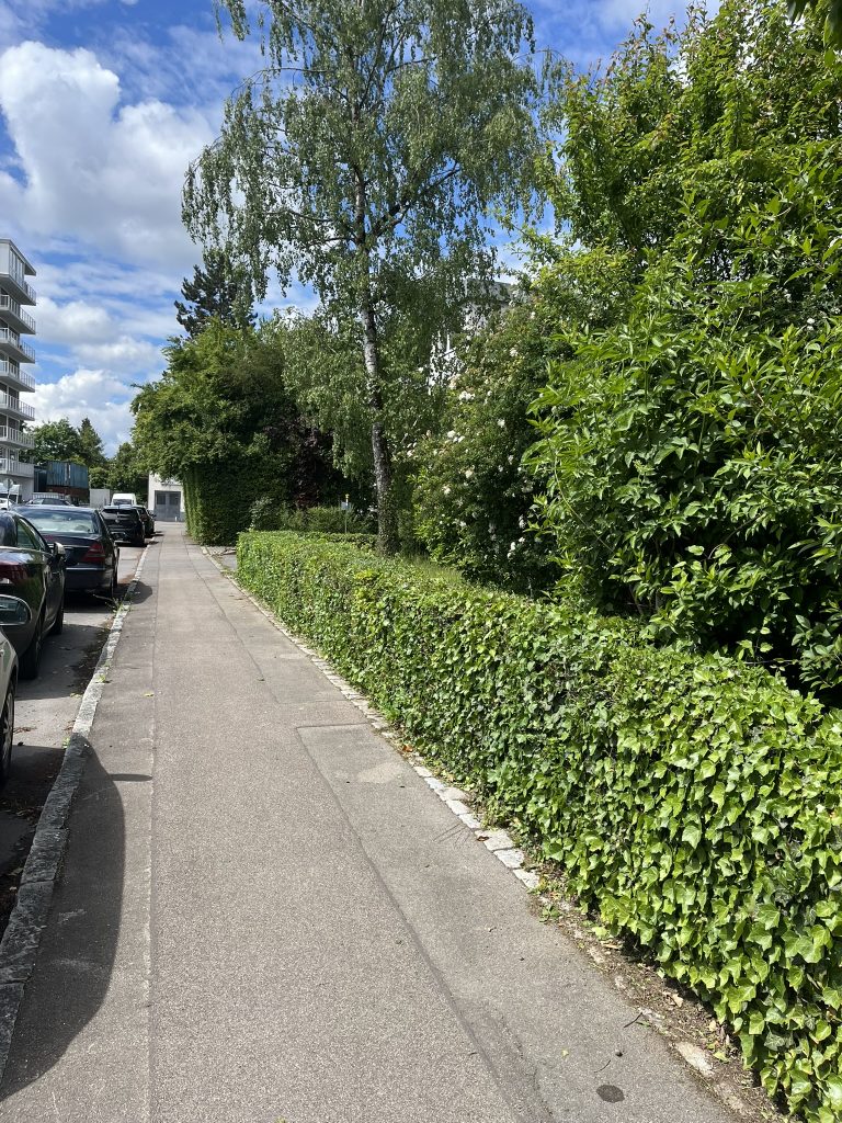 Gartenpflege durch ServicePro in Mössingen